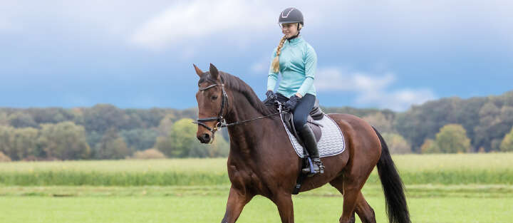 Reiten 1700x740